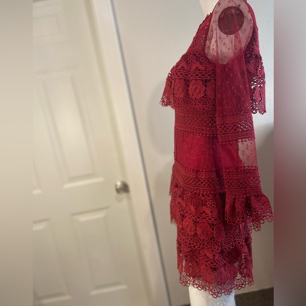 L & F~NWT~Lovely~Tiered Ruffle~Sheer Netting~Embroidered Lace~Mini Dress~Size S - Picture 8 of 15